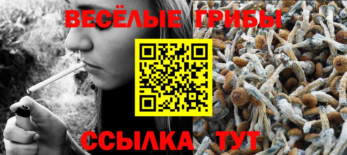 Томск  Галлюциногенные грибы MAGIC MUSHROOMS  наркота  Вход с VPN  Псилоцибиновые грибы Psilocybine cubensis 